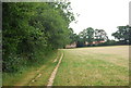 Footpath south to Cranleigh in Cranleigh East Ward
