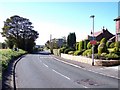 Topiary on Liverpool Road in Rural South Ward