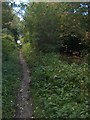 Path through the old allotments on Hagg Hill in S6 5PY