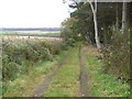 Track near Colleonard House in AB45 1DF