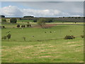 Farmland northwest of Carr Edge (2) in NE47 5DZ