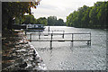 River Thames at Datchet in SL3 9BY