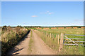 Farm road to Cotts of Innes in IV30 8NF