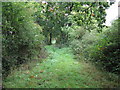Bridleway or footpath called Minching Lane in GU29 0LP