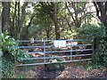 Gateway at Higher Hill Wood in TR26 3HZ