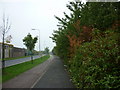 The cycle path and walkway down Mount Pleasant in HU8 7TP