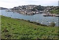 Salcombe from across Batson Creek in TQ8 8DR