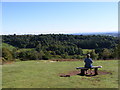 Clent Bench in DY9 9PA