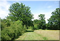 Footpath to Four Elms in Four Elms