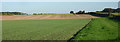 Fields towards Sutton in DN22 8PL