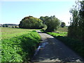 Country Lane in IP29 4TL