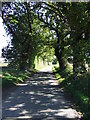 Country Road in IP29 4TL