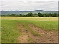 Field, Meikle Finnery in Dunbartonshire
