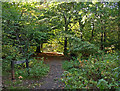 Path in Craigston Wood, Johnstone in PA5 9RA