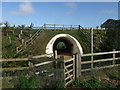 Jurassic Way beneath the A428 in NN6 7AF