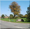 Beech Tree Park, Old St Mellons, Cardiff in CF3 5EX