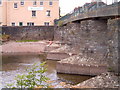 Swimmer at Brecon Town Bridge in Brecon Community