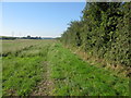 Footpath between Foxborough Hill and Sandwich in CT13 0NH