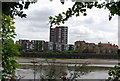 Looking across the River Thames in W6 9RH