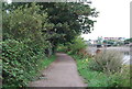 Thames Path approaching Hammersmith Bridge in W6 9RH