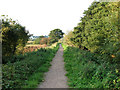 Path to Oulton Broad in NR32 3PW
