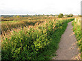 Path in Carlton Marshes in NR32 3PW