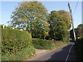 Greenway Road, Galmpton in TQ5 0LP