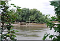 Looking across the river towards Chiswick Eyot. in SW13 8DY