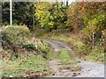 Lane behind Crofthead Cottage in DG6 4XF