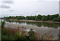River Thames north of Barnes in W4 2RJ