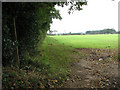 Public footpath to Hall Farm in NR25 6PQ