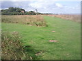 The western end of Reculver Country Park in CT6 6SZ