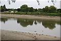 Low tide on the River Thames in W4 2SH