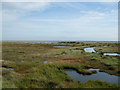 Saltmarsh and Ray Creek in CO16 8SL