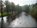 Part of the River Severn at Llanidloes in SY18 6FA