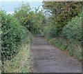 Bridleway and track to Desford in Newbold Verdon with Desford and Peckleton Ward