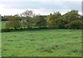 Farmland near Stocks House in Newbold Verdon with Desford and Peckleton Ward