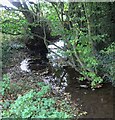 Small stream next to the bridleway in LE9 9FD