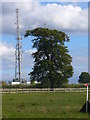 Mast Above Manor Farm in KT11 3PW