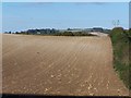 Stubble field near Salisbury District Hospital in SP2 8QL