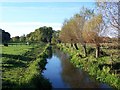 River channel from bridge at Britford in SP5 4DY