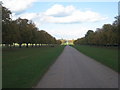 In Windsor Great Park (8) in SL4 2BD
