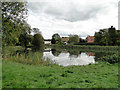 Village pond at Wickham Skeith in IP23 8FB