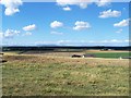Looking Towards Grampian Hills from Hillton of Guthrie in DD8 2UA