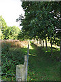 Path alongside the Mid Norfolk Railway, Kimberley Park in NR18 9QE