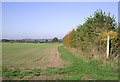 Crop field and footpath to Bobbington, Staffordshire in DY7 5DX