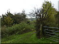 Footpath from Ambergate to Fritchley in DE56 2FT
