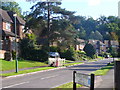 Silverdale Avenue, Oxshott in KT22 0SZ