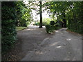 Service road for Wephurst Park house in RH14 0AE