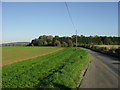 Minor road from South Leigh to the B4449 in OX29 6XQ